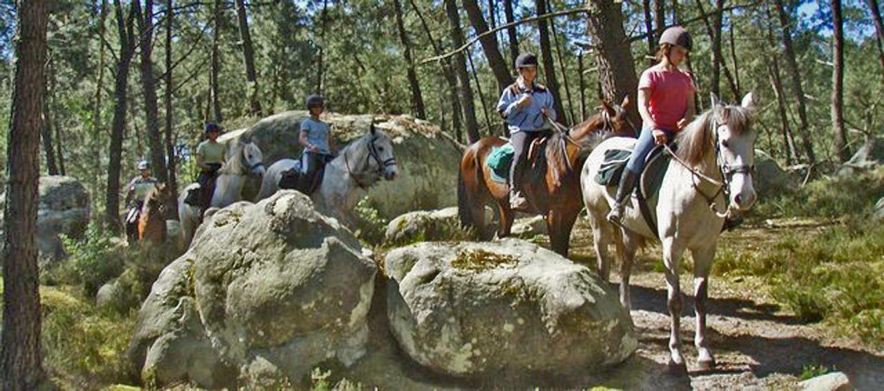 Arbonne Etape Foret Fontainebleau Climb & Randonnees מראה חיצוני תמונה