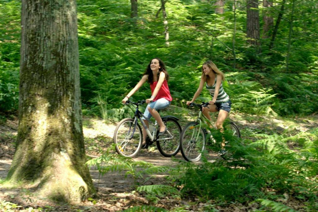 Arbonne Etape Foret Fontainebleau Climb & Randonnees מראה חיצוני תמונה